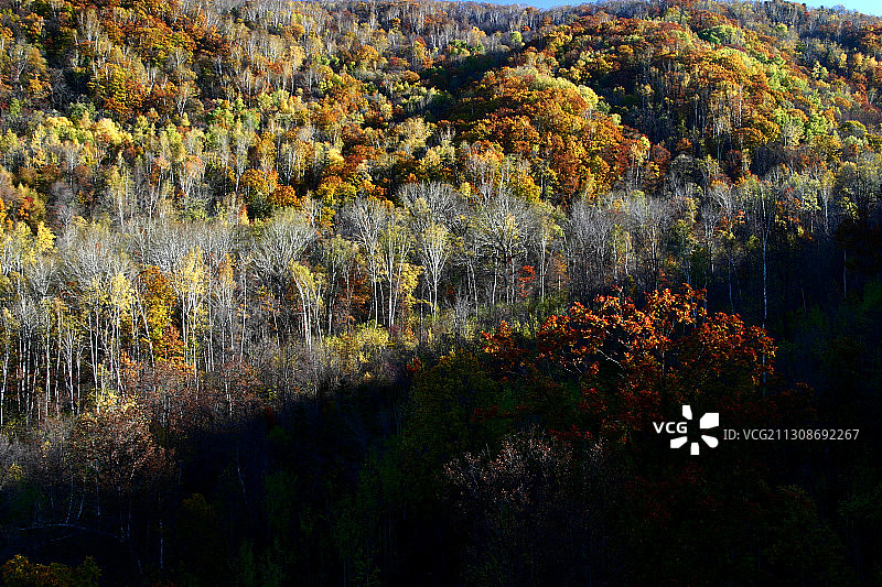 黑龙江省伊春市汤旺河风景区图片素材
