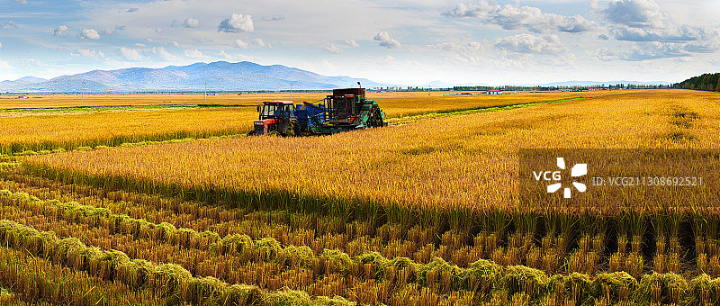 农业大丰收图片素材