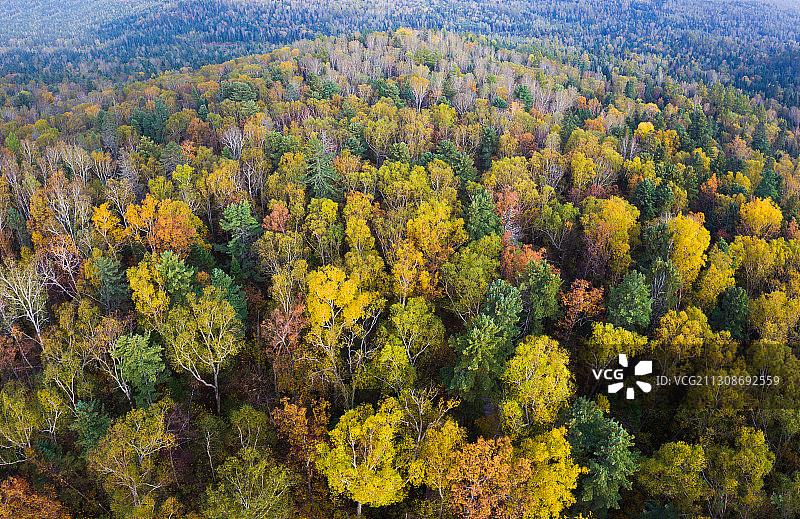 黑龙江省伊春市汤旺河风景区图片素材