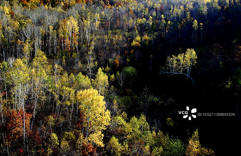黑龙江省伊春市汤旺河风景区图片素材