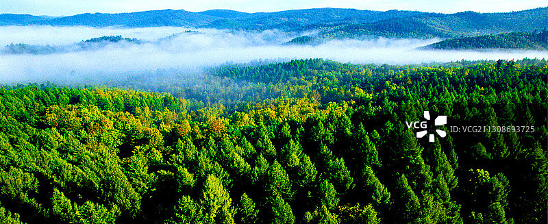 黑龙江省小兴安岭五营国家森林公园图片素材