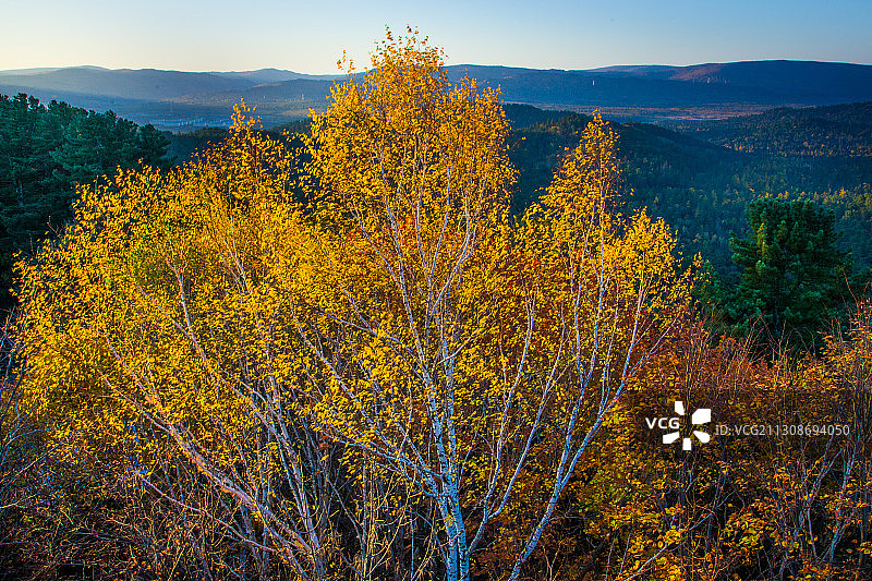 黑龙江省伊春市汤旺河风景区图片素材