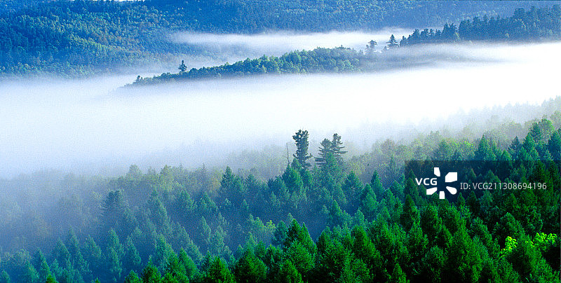 黑龙江省小兴安岭五营国家森林公园图片素材