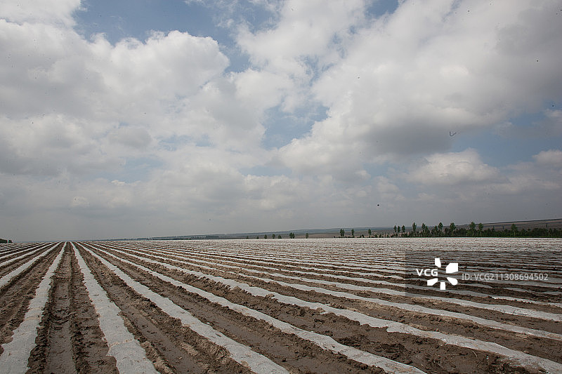 黑龙江省佳木斯市桦南县农田图片素材