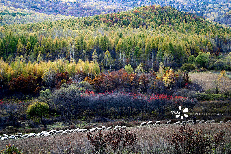 黑龙江省鹤岗市萝北县太平沟秋景图片素材