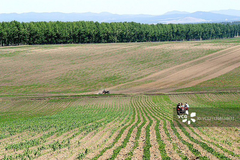 黑龙江省佳木斯市桦南县农田图片素材