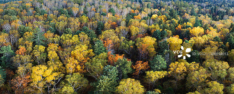 黑龙江省伊春市汤旺河风景区图片素材