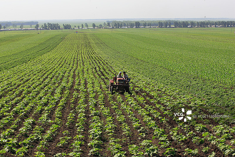 黑龙江省佳木斯市桦南县农田图片素材