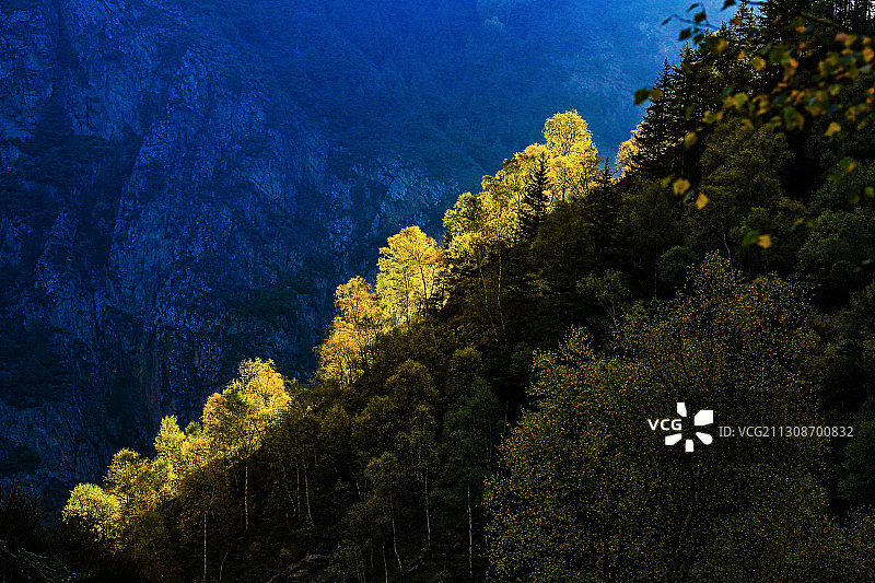 《仙米国家森林公园》图片素材