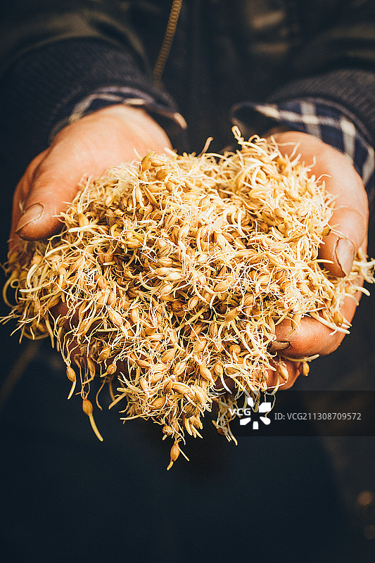 陕西乾县传统美食芝麻滚子麦芽糖琼锅糖制作图片素材