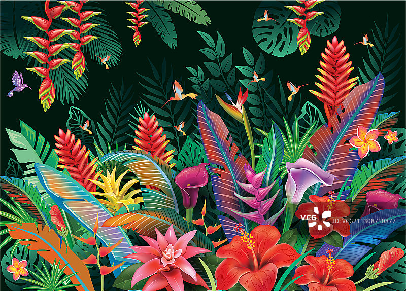 热带花卉背景图片素材