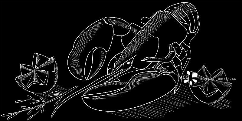 手绘海鲜素描集合龙虾图片素材