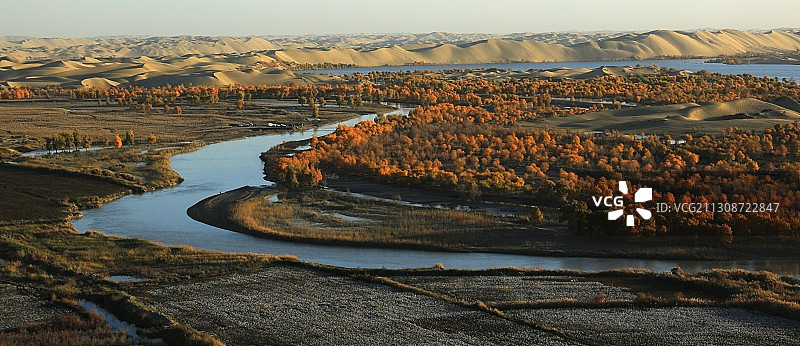 巴音郭楞盟尉犁县——水中胡扬图片素材