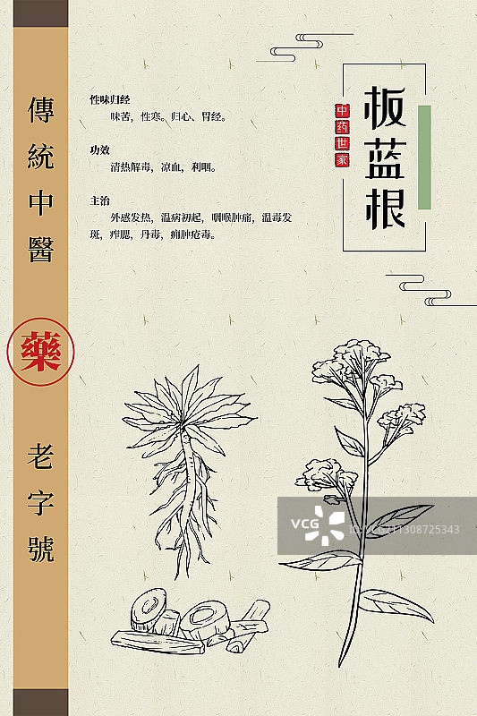 板蓝根图片素材