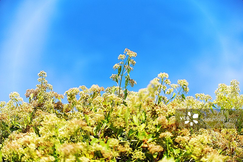 野外天空图片素材