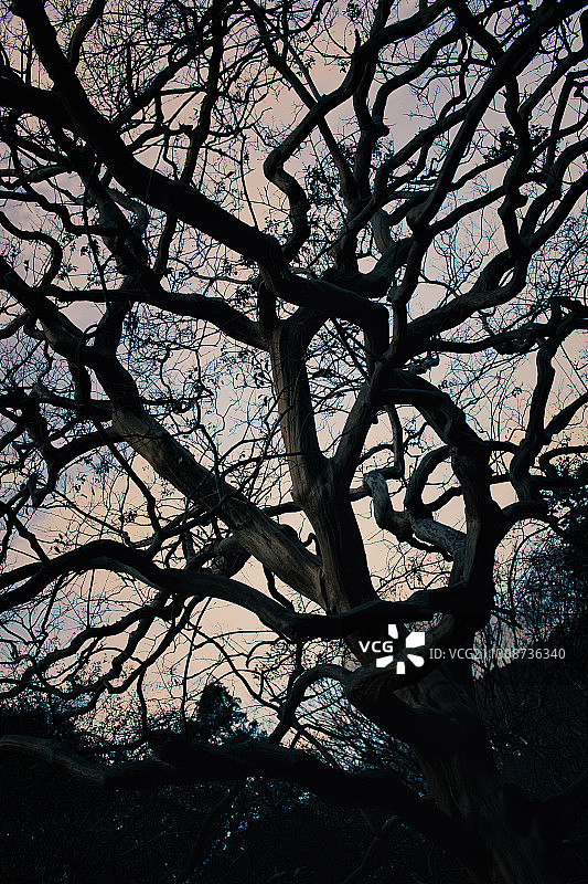 笼罩 / Envelop图片素材