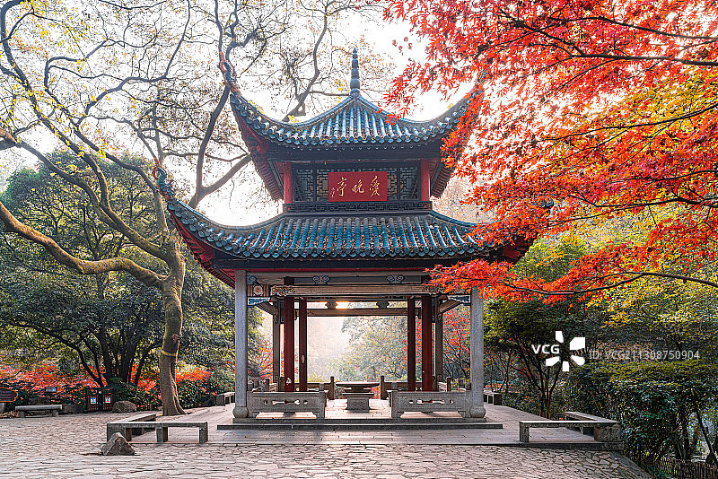 湖南长沙岳麓山爱晚亭红枫旅游商业背景图图片素材