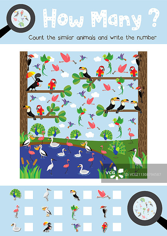 有多少只鸟类动物图片素材