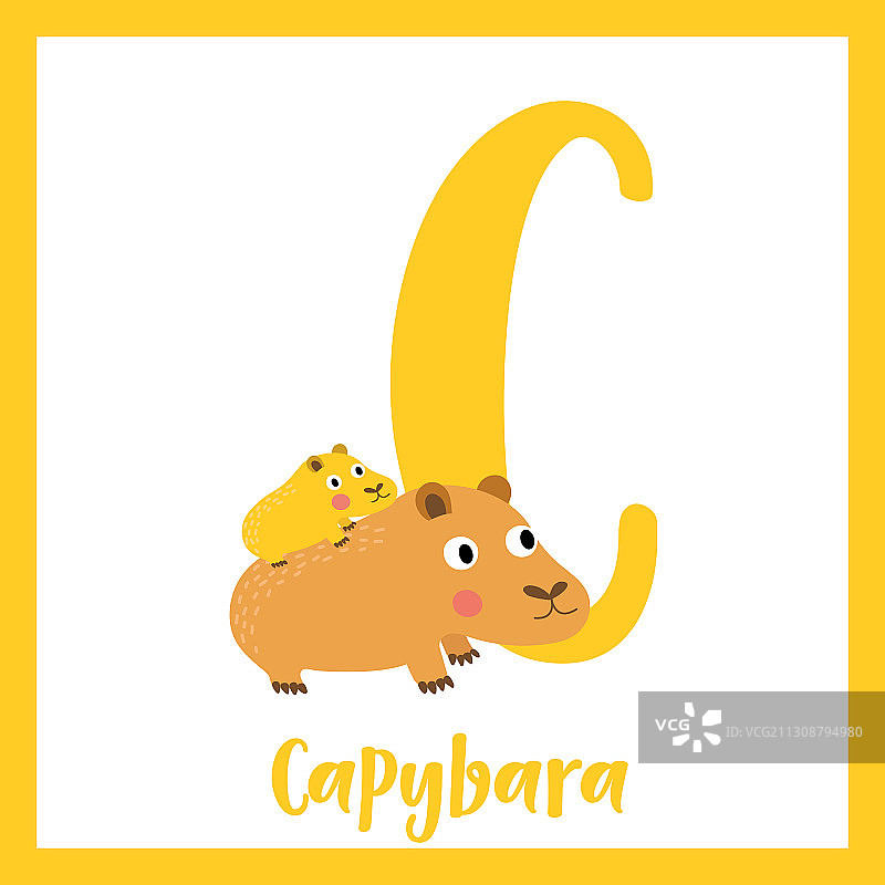 字母C水豚母子图片素材