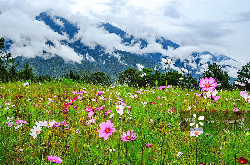 云南丽江古城图片素材