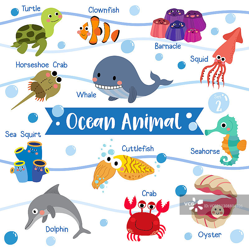 白色背景上的海洋动物卡通图片素材