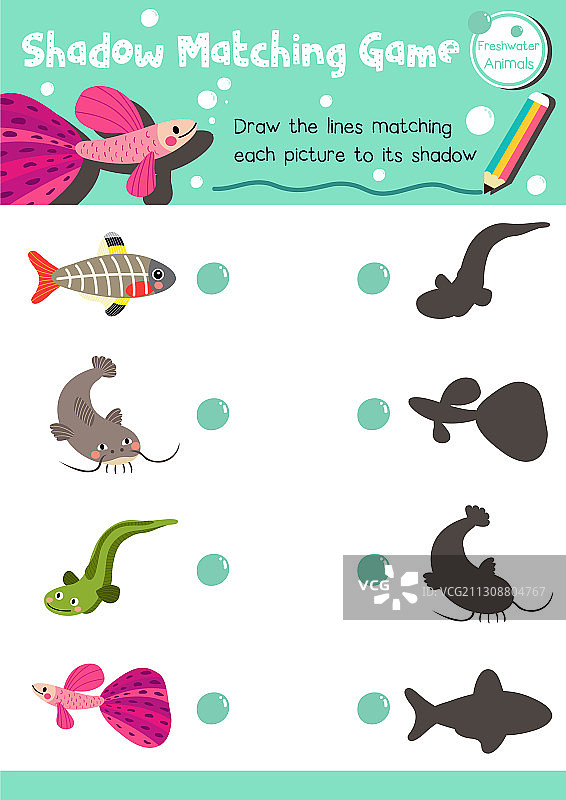 淡水动物影子配对游戏图片素材
