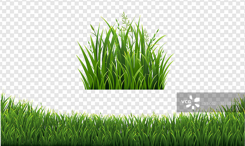 白色背景上的绿色草地边框图片素材