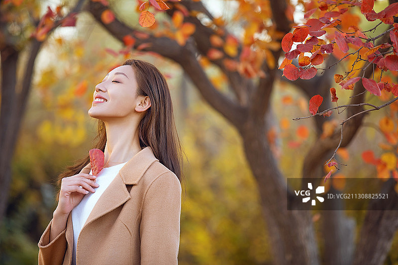 一个年轻女子赏红叶图片素材