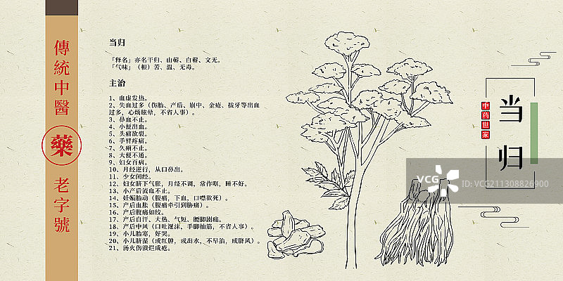 当归图片素材