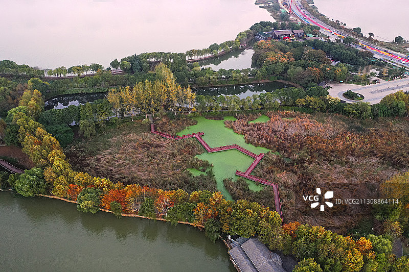 金银湖公园+湖北省武汉市东西湖区金银湖国家湿地公园图片素材