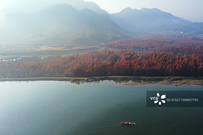 泛舟江上+安徽省宣城市宁国市方塘乡红杉林景区图片素材