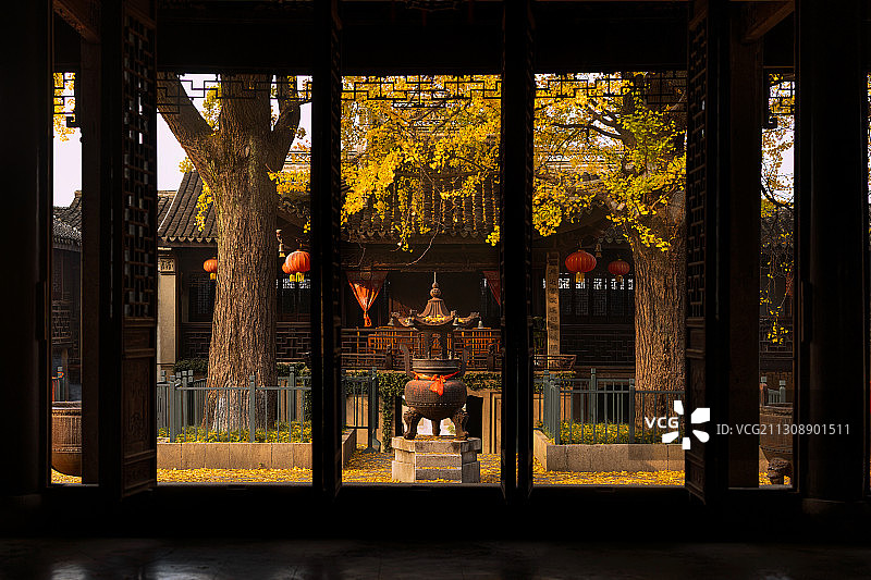 江苏无锡锡惠公园惠山古镇张中丞庙古银杏树图片素材