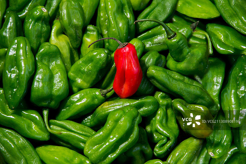 委内瑞拉首都加拉加斯青椒特写镜头图片素材