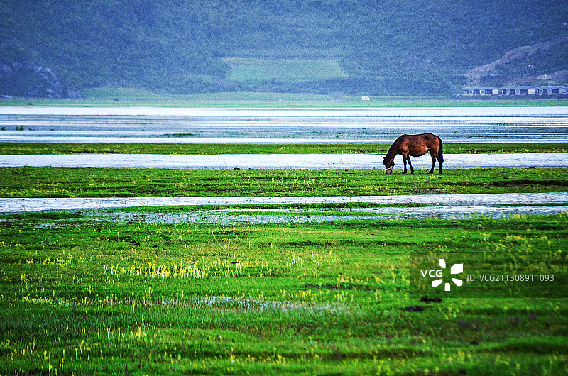 云南香格里拉图片素材