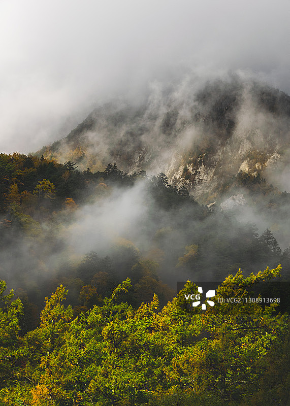 上高地梓森林风光，日本图片素材