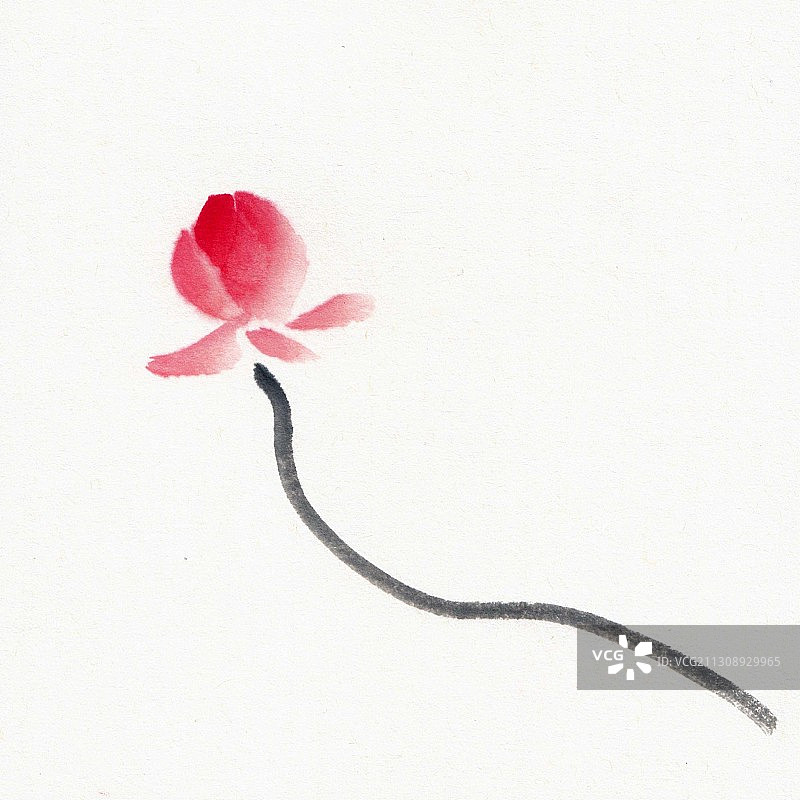 水墨花朵插画图片素材