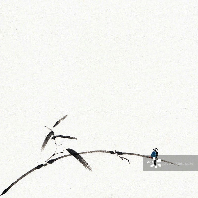 水墨小鸟插画图片素材