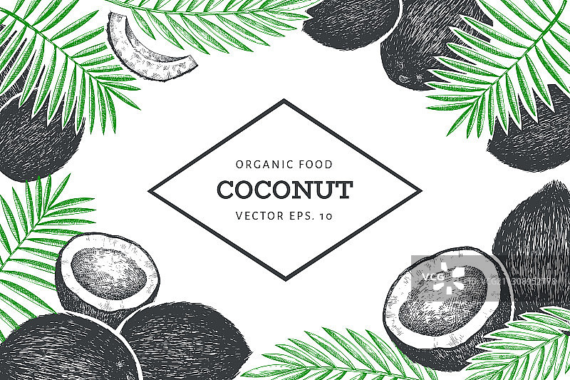 手绘椰子棕榈叶设计模板图片素材
