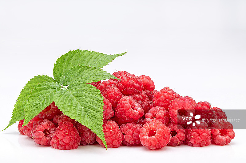 白色背景上的覆盆子特写图片素材