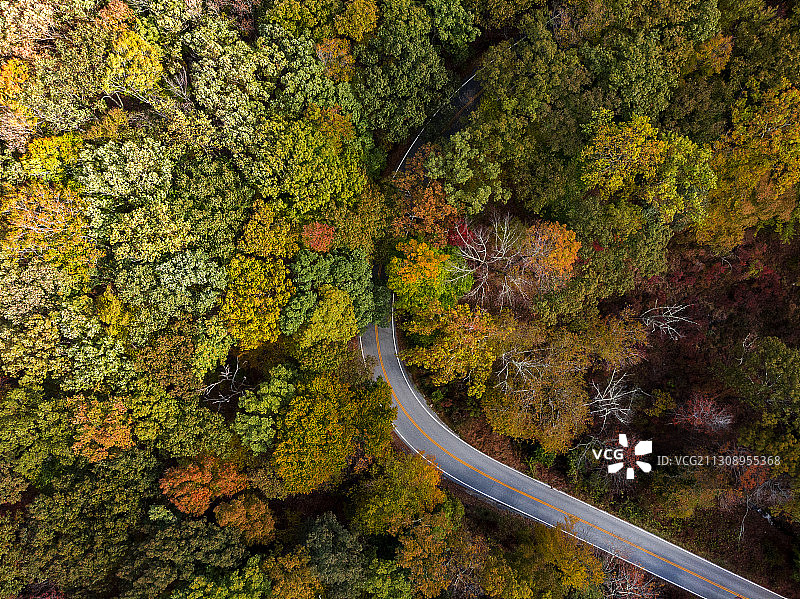 秋季哈里曼州立公园的树木中的道路航拍图片素材
