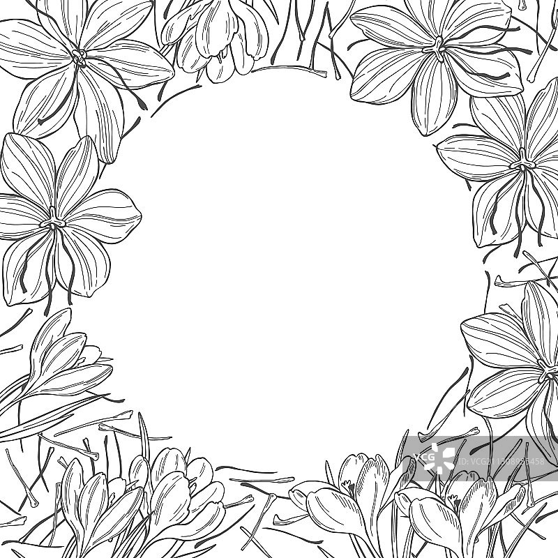 藏红花香料手绘背景图片素材