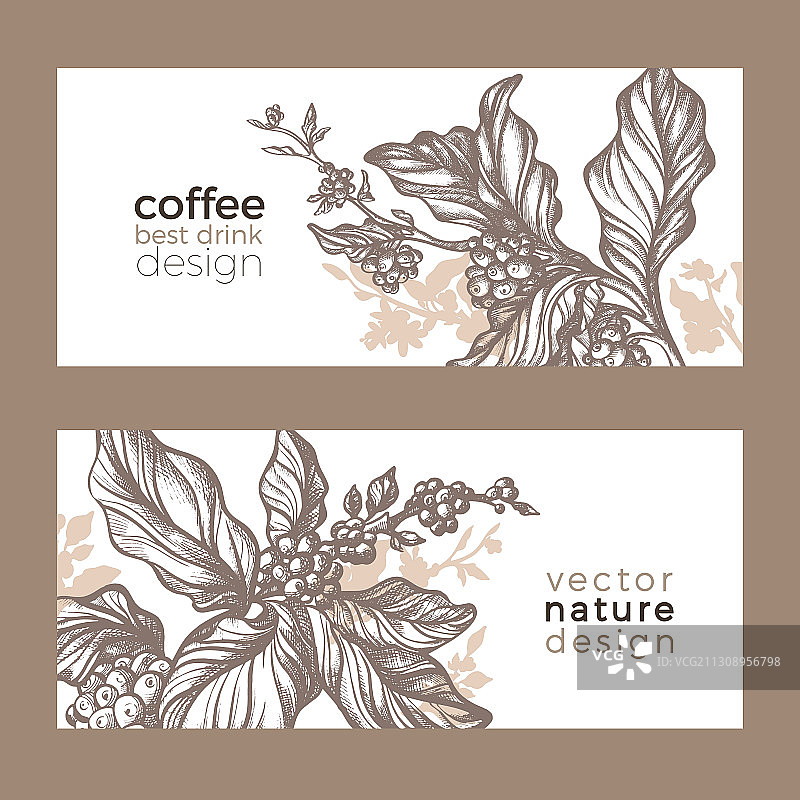 SK 2模板图片素材