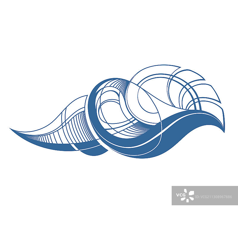 大型贝壳图片素材