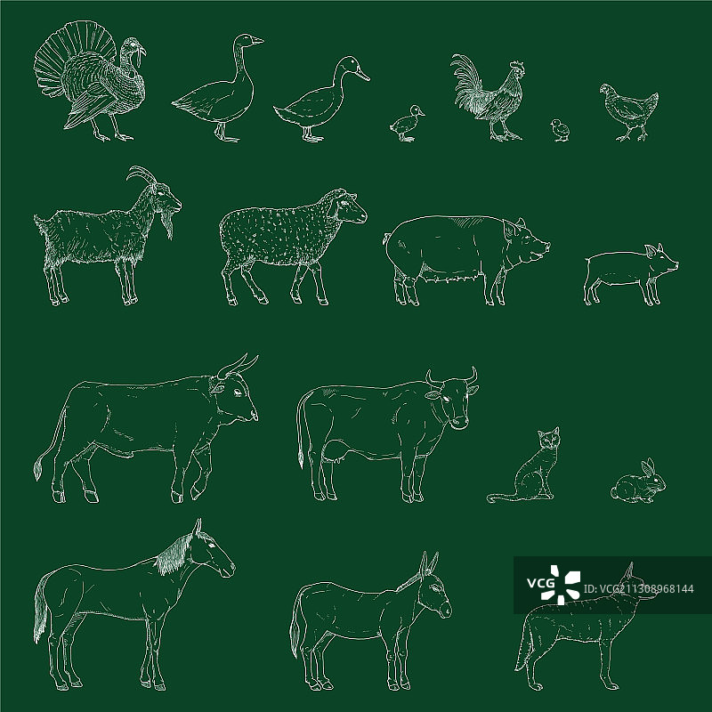 粉笔素描农场动物套装图片素材