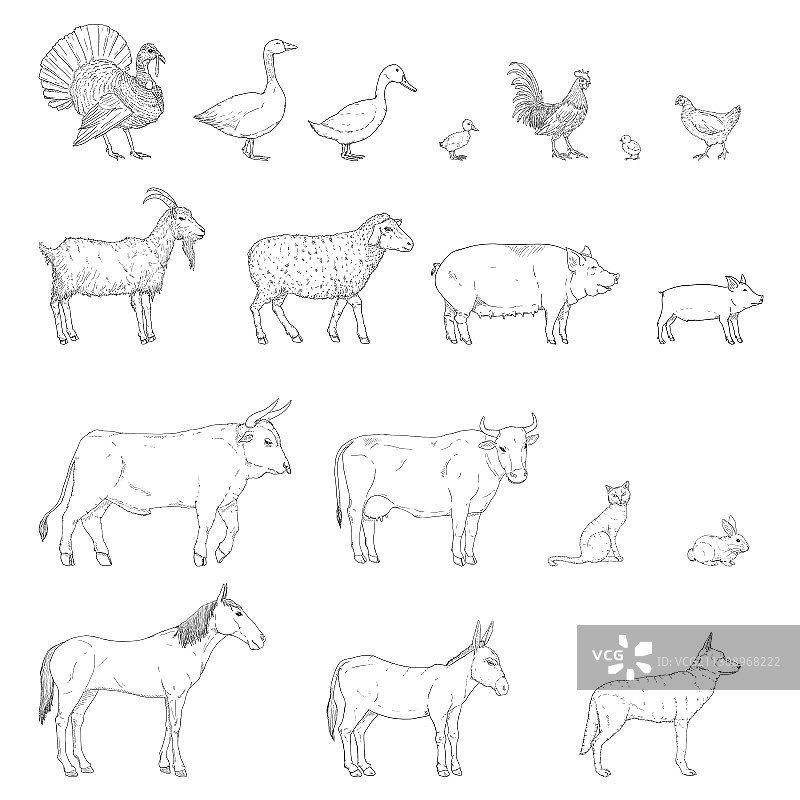农场动物素描套装图片素材
