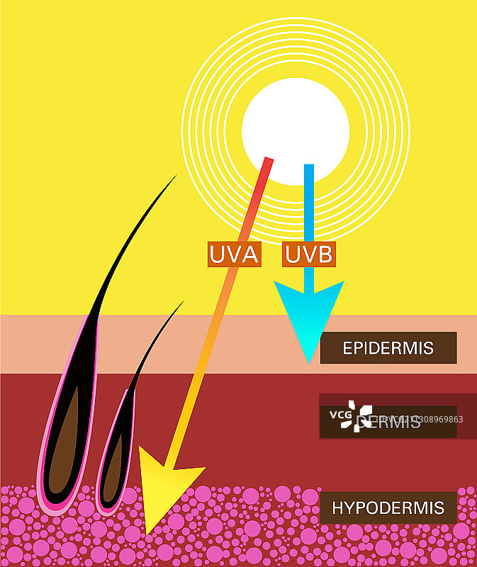 UVA和UVB防护皮肤对比图片素材