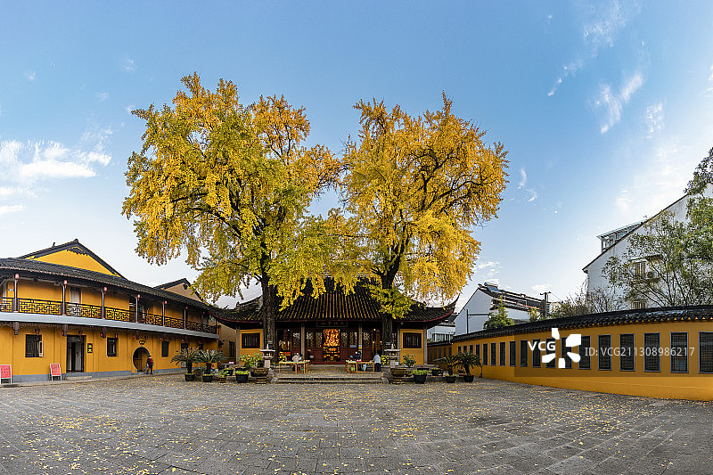 苏州姑苏区定慧寺的古银杏黄了图片素材