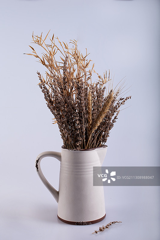 室内空间的干花小麦图片素材