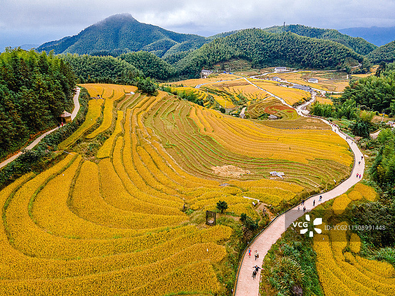 俯瞰青山间的层层梯田图片素材