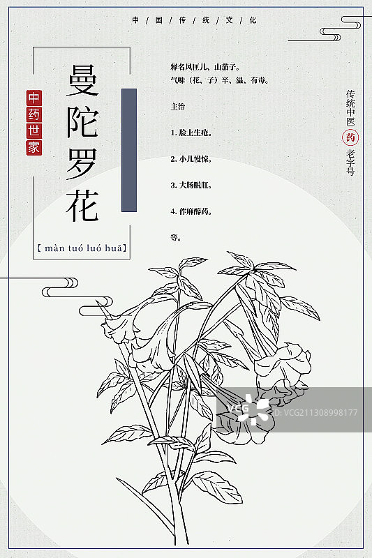 曼陀罗花图片素材